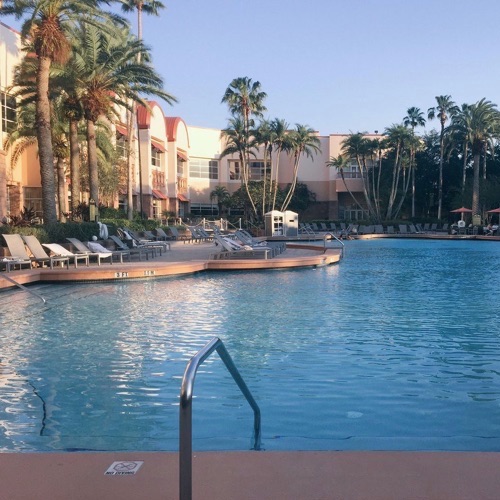 Rosen_Centre_Pool